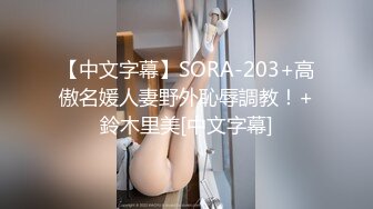 【中文字幕】SORA-203+高傲名媛人妻野外恥辱調教！+鈴木里美[中文字幕]