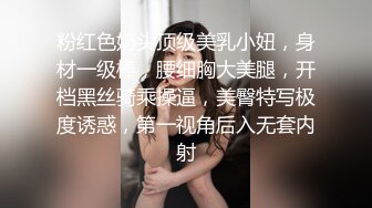 粉红色奶头顶级美乳小妞，身材一级棒，腰细胸大美腿，开档黑丝骑乘操逼，美臀特写极度诱惑，第一视角后入无套内射