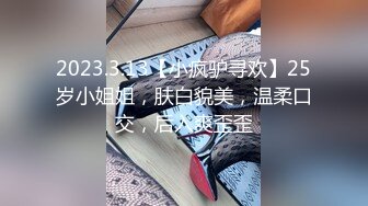 2023.3.13【小疯驴寻欢】25岁小姐姐，肤白貌美，温柔口交，后入爽歪歪