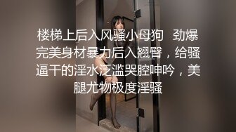 楼梯上后入风骚小母狗✿劲爆完美身材暴力后入翘臀，给骚逼干的淫水泛滥哭腔呻吟，美腿尤物极度淫骚