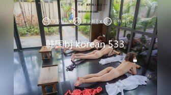 韩国bj korean 533