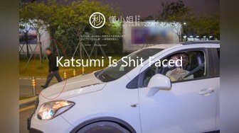 Katsumi Is Shit Faced