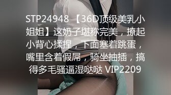 STP24948 【36D顶级美乳小姐姐】这奶子堪称完美，撩起小背心揉捏，下面塞着跳蛋，嘴里含着假屌，骑坐抽插，搞得多毛骚逼湿哒哒 VIP2209