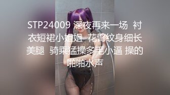 STP24009 深夜再来一场  衬衣短裙小姐姐  花臂纹身细长美腿  骑乘猛操多毛小逼 操的啪啪水声