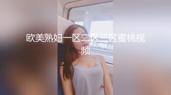 欧美熟妇一区二区三区蜜桃视频