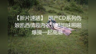 【月色s】气质S女王调教男奴，极品身材气质御姐 坐脸 圣水 黄金无下限崩坏，微重口！ (3)