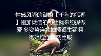 鸡巴摩擦母狗骚逼