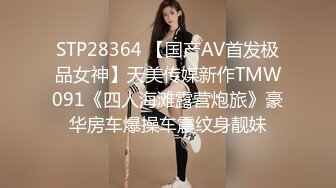 女仆装女友2