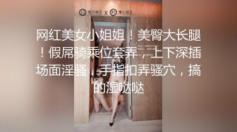 ✅性感优雅御姐✅气质尤物女神《米菲兔》寂寞少妇勾引装修师傅