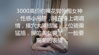 极品女友系列01