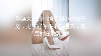 职业装ol薄丝美少妇