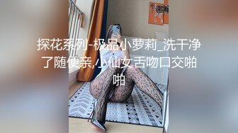 探花系列-酒店爆操高跟黑丝小姐姐续集