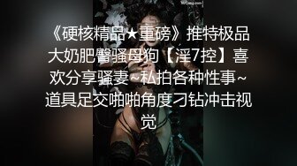 原味蕾丝透视女仆装