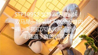 STP30697 SA国际SAT-0076《超近公务员1》上班执行秘密公务 小遥