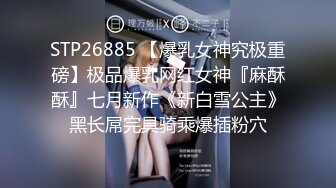 国产麻豆AV MD MD0033 女模与摄影师搞上 六滢心