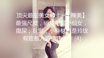 母犬调教 贤妻女仆的极致服务