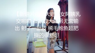 【极品网红露出】脸红Dearie动铁艳女黑丝秘书 反差女神有钱人的玩物 肛塞开档黑丝蜜尻 高颜值尤物淫值爆表