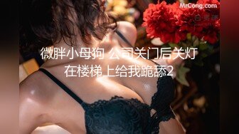 老公貌似从始至终没有动过都是女的在上面自娱自乐各种姿势啪啪