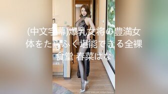 母乳妻発掘 即撮りAVデビュー！！ 畑野聖奈