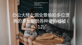 （新电子厂）厕拍日记11月27日 看不够的大屁股,撸不尽的眼镜娘 (1)