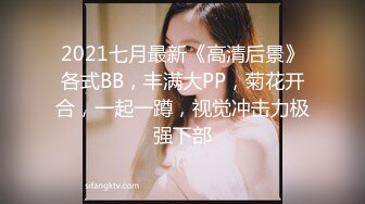 内裤哥_性感OL美腿.480P完整版