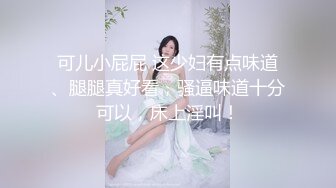 涩会传媒SH-012合租的陌生人-吴心语【MP4/331MB】