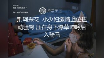 荆轲探花  小少妇激情上位扭动骚臀 压在身下爆草呻吟后入骑马