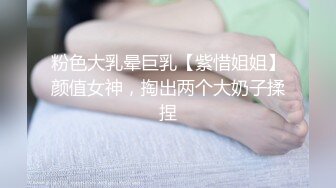 爆乳E奶大长腿BeautyLeg腿模Ailen火爆剧情性爱流出