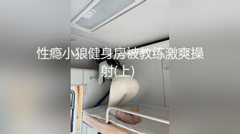 闷骚小少妇