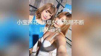 小宝探花-爆草女神高潮不断淫叫连连