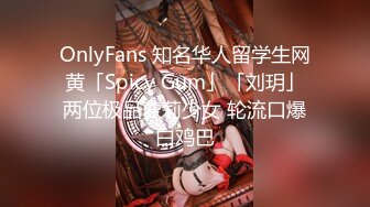 OnlyFans~混血内衣模特【ploytigerstam】23年订阅合集~亚裔极品身材~美乳情趣丝袜~大尺度私拍【495V】 (355)