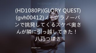 (HD1080P)(GLORY QUEST)(gvh00412)ノーブラノーパンで挑発してくるスケベ奥さんが隣に引っ越してきた！ 八乃つばさ