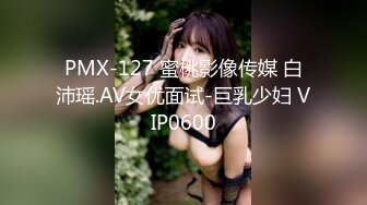 PMX-127 蜜桃影像传媒 白沛瑶.AV女优面试-巨乳少妇 VIP0600