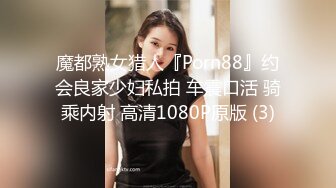 魔都熟女猎人『Porn88』约会良家少妇私拍 车震口活 骑乘内射 高清1080P原版 (3)