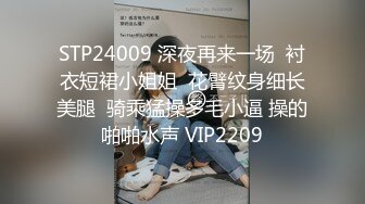 STP24009 深夜再来一场  衬衣短裙小姐姐  花臂纹身细长美腿  骑乘猛操多毛小逼 操的啪啪水声 VIP2209